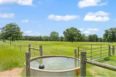 705 Antioch Road, Paige, TX 78659 - Photo 39