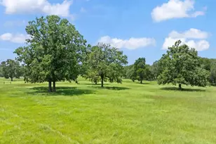 705 Antioch Rd, Paige, TX 78659 - Photo 35