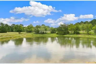 705 Antioch Road, Paige, TX 78659 - Photo 7