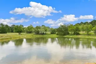 705 Antioch Rd, Paige, TX 78659 - Photo 7