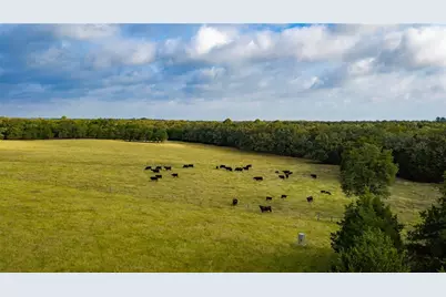 705 Antioch Road, Paige, TX 78659 - Photo 11