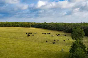 705 Antioch Rd, Paige, TX 78659 - Photo 11