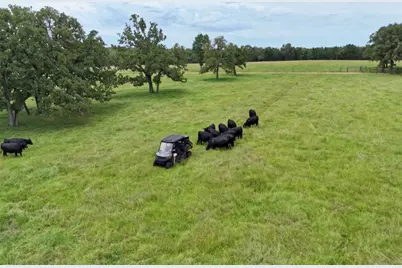 705 Antioch Road, Paige, TX 78659 - Photo 35