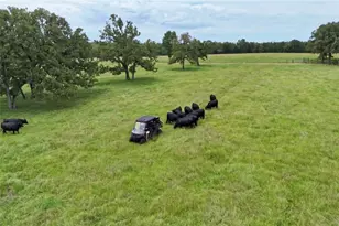 705 Antioch Rd, Paige, TX 78659 - Photo 35