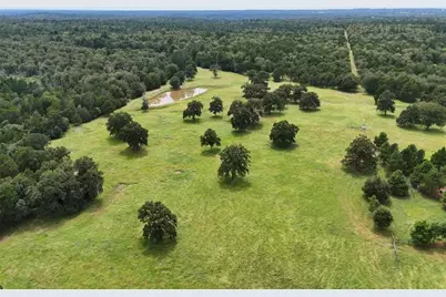 705 Antioch Road, Paige, TX 78659 - Photo 3