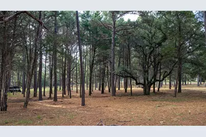 705 Antioch Road, Paige, TX 78659 - Photo 35