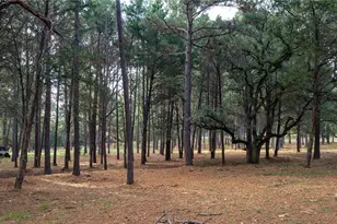 705 Antioch Rd, Paige, TX 78659 - Photo 35