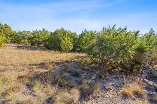 220 Harmon Hills Rd, Dripping Springs, TX 78620 - Photo 27