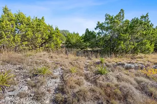 220 Harmon Hills Rd, Dripping Springs, TX 78620 - Photo 27