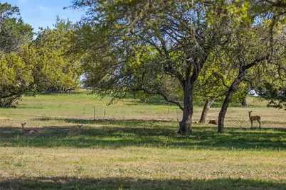 170 Brighton Lane, Austin, TX 78737 - Photo 33