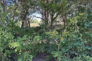 Lot 9 Robin Run, Bastrop, TX 78602 - Photo 1