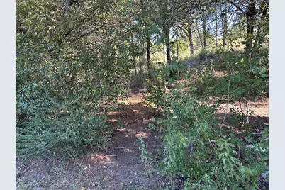 Lot 9 Robin Run, Bastrop, TX 78602 - Photo 3
