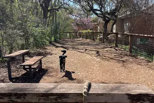 739 E Oltorf St, Austin, TX 78704 - Photo 27
