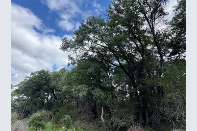0000 Round Mountain Road, Leander, TX 78641 - Photo 33