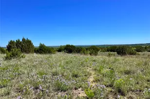 Tbd E Fm 581, Lometa, TX 76853 - Photo 1