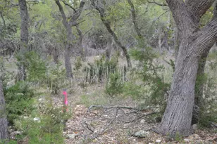 4016 McGregor Ln Lot 1-2, Dripping Springs, TX 78620 - Photo 29