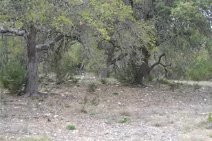 4016 McGregor Ln Lot 1-2, Dripping Springs, TX 78620 - Photo 29
