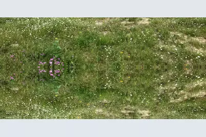 1672 Sayers Tract 2 Road, Bastrop, TX 78602 - Photo 1