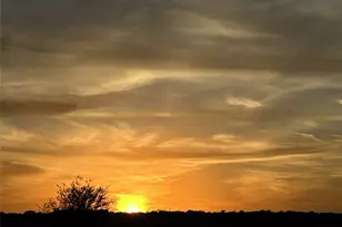 5217 Alonso Dr, Austin, TX 78738 - Photo 3