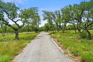 290 Sunset Ridge, Dripping Springs, TX 78620 - Photo 35