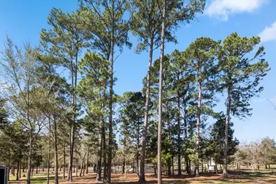 144 Old Potato Road Road, Paige, TX 78659 - Photo 27