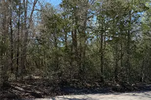 193 Kaaawa Ln, Bastrop, TX 78602 - Photo 1