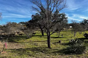 Lots 152 and 153 County Road 128 Rd, Burnet, TX 78611 - Photo 19