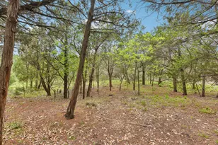 9004 Tara Ln, Austin, TX 78737 - Photo 31