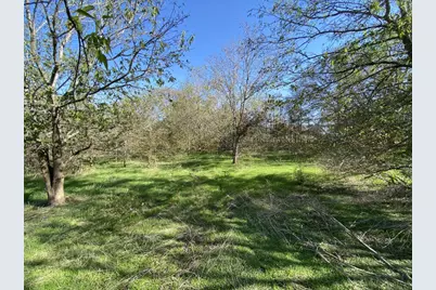 7603 Timber Hills Drive, Del Valle, TX 78617 - Photo 3