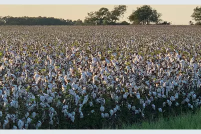 [Address not provided], Georgetown, TX 78626 - Photo 3