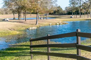 162 Pinyon Pne Dr, Bastrop, TX 78602 - Photo 13