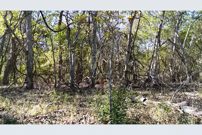 Tbd Darst Creek Lane, Seguin, TX 78155 - Photo 11