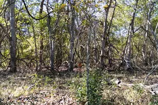 Tbd Darst Creek Ln, Seguin, TX 78155 - Photo 11