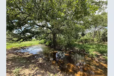 Tbd Pettytown Road, Red Rock, TX 78662 - Photo 5