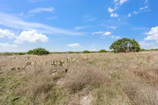 Lot 65 Three Creeks Dr, Bertram, TX 78605 - Photo 11