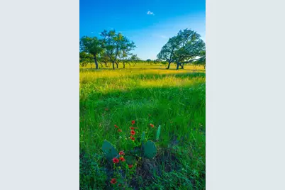 0 High Point Ranch, Johnson City, TX 78636 - Photo 5