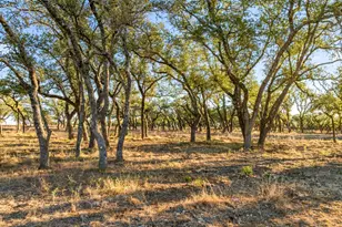 1422-12 Rm 2766, Johnson City, TX 78636 - Photo 1