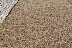 1205 Friends Cv, Round Rock, TX 78681 - Photo 5