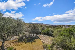 17621 W Reed Parks Rd, Jonestown, TX 78645 - Photo 23