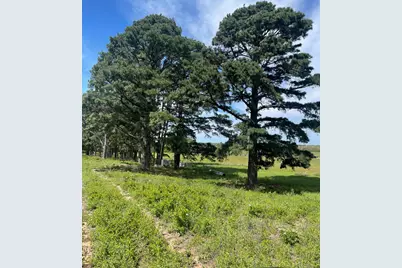 1550 Cattlemens Row, Lockhart, TX 78644 - Photo 9