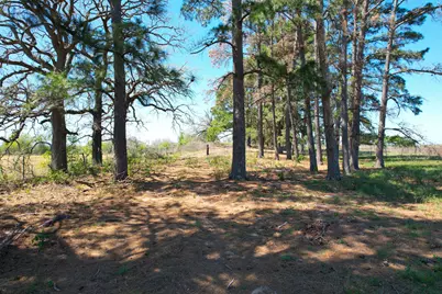 1550 Cattlemens Row, Lockhart, TX 78644 - Photo 11