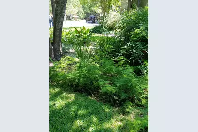 4809 Misty Brook Cove, Austin, TX 78727 - Photo 29