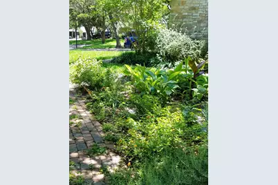 4809 Misty Brook Cove, Austin, TX 78727 - Photo 25