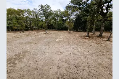 116 Pine Point Cove, Elgin, TX 78621 - Photo 23