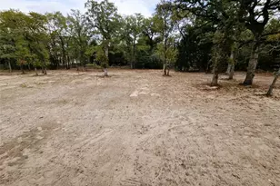 116 Pine Point Cove, Elgin, TX 78621 - Photo 23