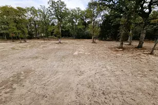 116 Pine Point Cove, Elgin, TX 78621 - Photo 25