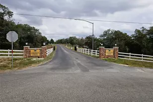 116 Pine Point Cove, Elgin, TX 78621 - Photo 29