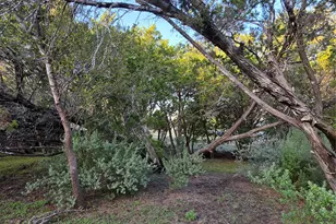 311 Barton Meadow Dr, Dripping Springs, TX 78620 - Photo 27