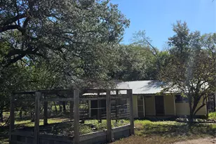 311 Barton Meadow Dr, Dripping Springs, TX 78620 - Photo 31