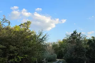 311 Barton Meadow Dr, Dripping Springs, TX 78620 - Photo 29